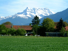 Green Valley in the snow: A White Christmas