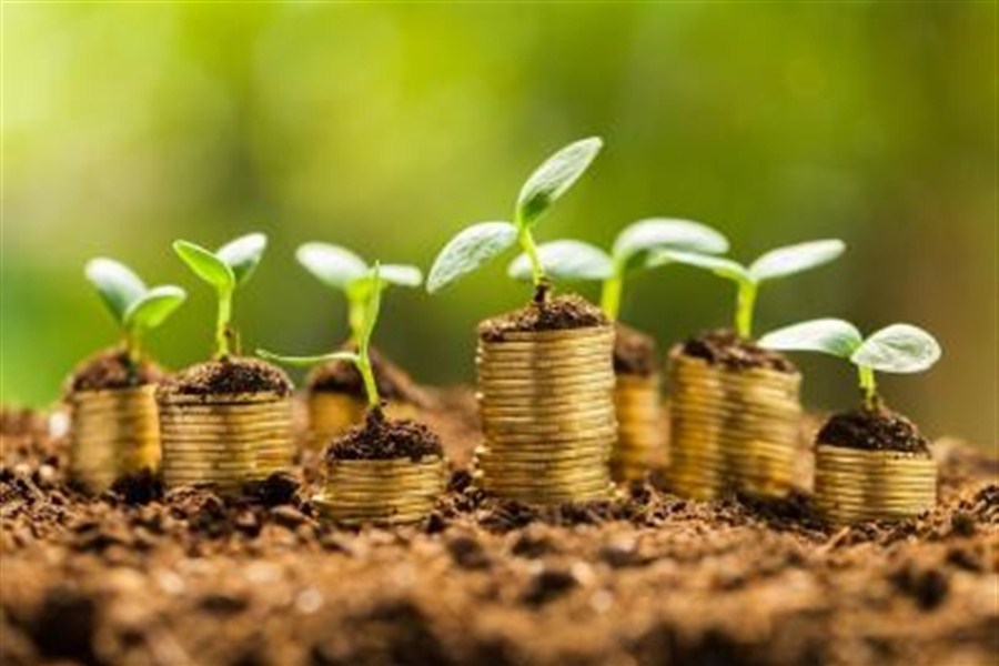 Ground-breaking UN-supported digital tool to enhance green finance